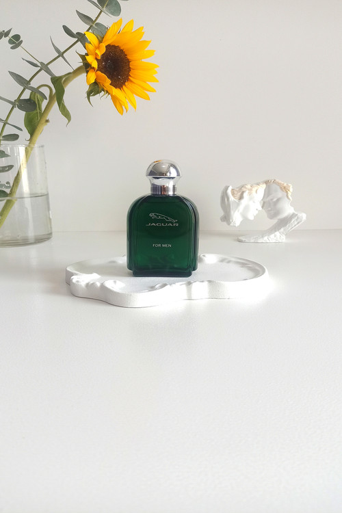 ادکلن عطر مردانه جگوار سبز Jaguar for Men اورجینال 100 میل