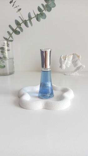 ادکلن رویال بلو (royal blue) رایحه بلوشنل (blue chanel) 30 میل جیبی از برند ارماسو(Aromaso) غلظت ادوپرفیوم