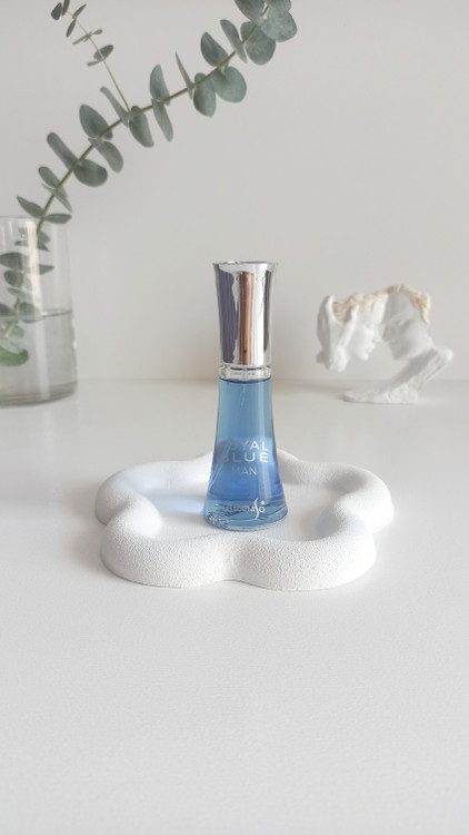 ادکلن رویال بلو (royal blue) رایحه بلوشنل (blue chanel) 30 میل جیبی از برند ارماسو(Aromaso) غلظت ادوپرفیوم